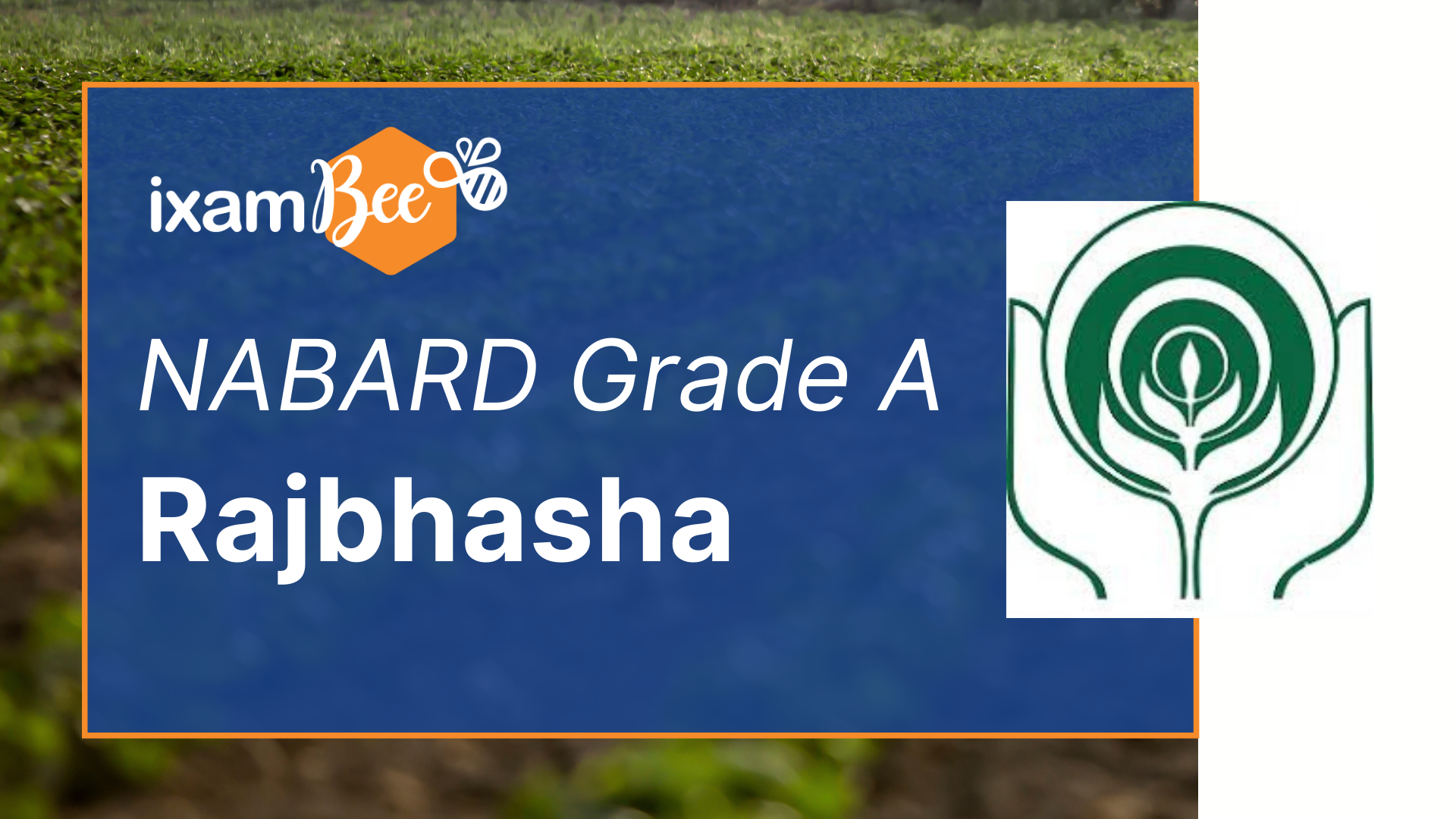 NABARD Grade A Rajbhasha