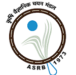 RBI Grade B Phase II